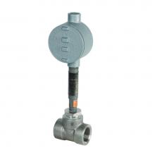 Bradley S19-319S4 - Flow Switches, 1Ã‚¼ '' NPT Stainless Steel, DPDT, for Showers and Combinatio