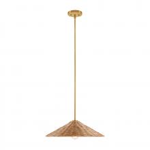 Savoy House Meridian M7041NB - 1-Light Pendant in Natural Brass