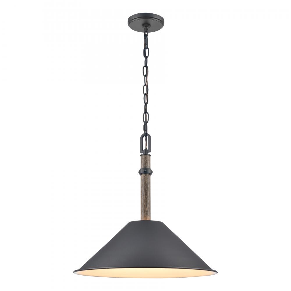 Neville 18&#39;&#39; Wide 1-Light Pendant - Charcoal Black