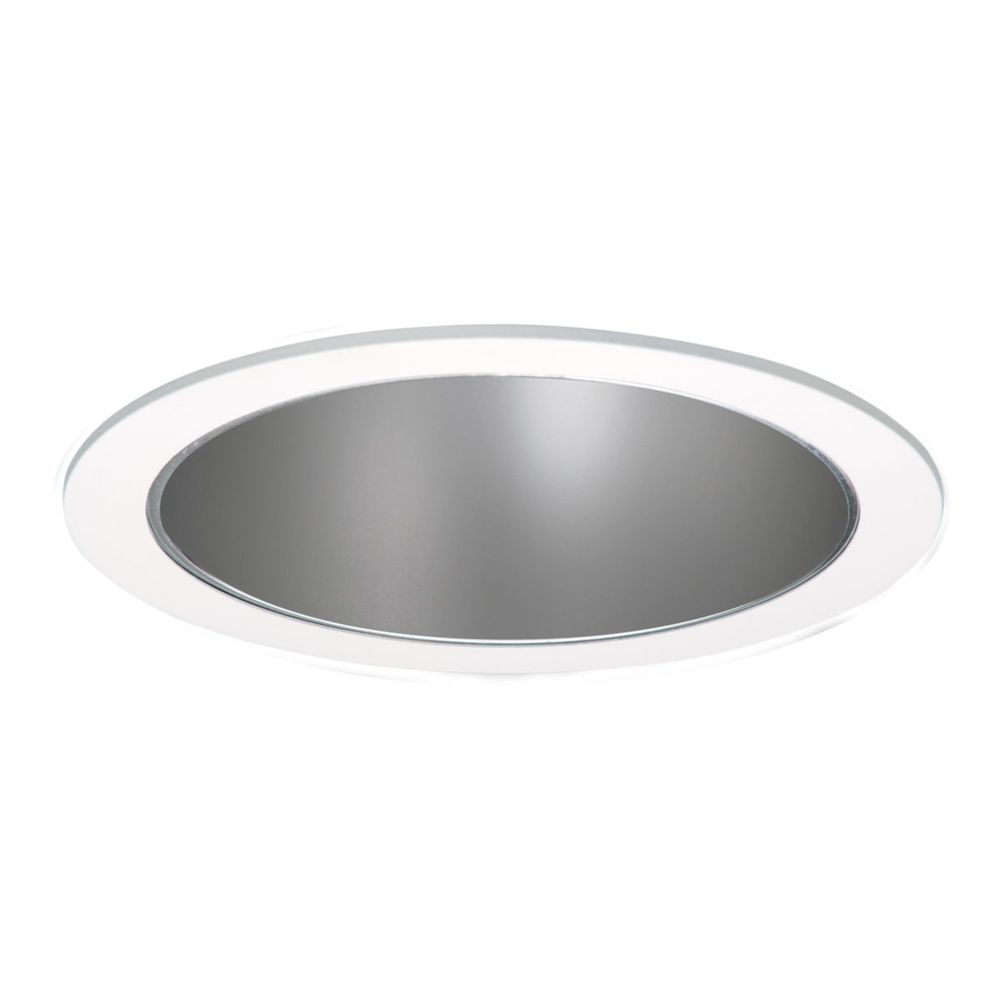 5&#34; PAR30 DOWNLIGHT HAZE