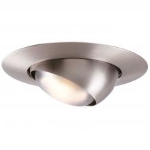 Cooper Lighting Solutions 78SN - 6" TRM PAR30L,EYEBAL STN NCK,30 DG TLT