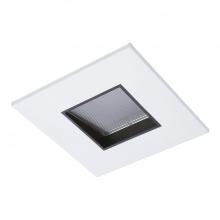 Cooper Lighting Solutions TL46S6GMWBB - 2" SQ PIN, LENS WW,  WHT FLG, BLK FRM