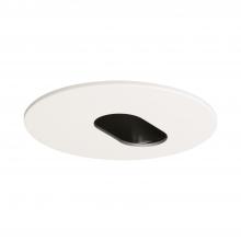 Cooper Lighting Solutions E3OVAL - 2 TOR SPRG, 3" ADJ OVAL PINHOLE