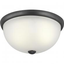 Progress Lighting, a Hubbell affiliate P350044-143 - P350044-143 2-75W MED FLUSH MOUNT