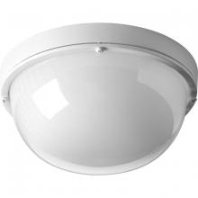 Progress Lighting, a Hubbell affiliate P3648-3030K9 - P3648-3030K9 1-17W LED 3000K CTC