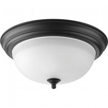 Progress Lighting, a Hubbell affiliate P3925-80 - P3925-80 2-75W MED FLUSH MOUNT