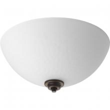 Progress Lighting, a Hubbell affiliate P3993-20 - P3993-20 2-100W MED FLUSH MOUNT