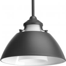 Progress Lighting, a Hubbell affiliate P500013-143 - P500013-143 1-100W MED PENDANT