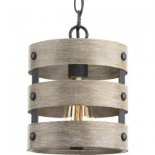 Progress Lighting, a Hubbell affiliate P500022-143 - P500022-143  1-75W MED MINI-PENDANT