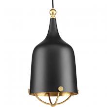 Progress Lighting, a Hubbell affiliate P500033-031 - P500033-031 1-75W MED PENDANT