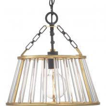 Progress Lighting, a Hubbell affiliate P500161-031 - P500161-031 1-75W MED PENDANT