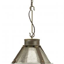 Progress Lighting, a Hubbell affiliate P500195-161 - P500195-161 1-100W MED PENDANT