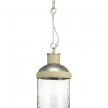 Progress Lighting, a Hubbell affiliate P500202-081 - P500202-081 1-100W MED PENDANT