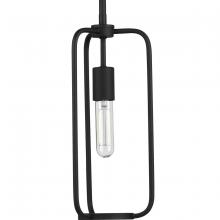 Progress Lighting, a Hubbell affiliate P500223-031 - P500223-031 1-60W CAND PENDANT