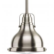 Progress Lighting, a Hubbell affiliate P5050-0930K9 - P5050-0930K9 1-9W LED 3000K PENDANT