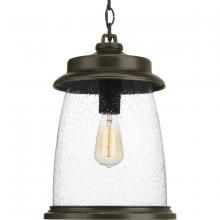 Progress Lighting, a Hubbell affiliate P550030-020 - P550030-020 1-100W MED HANGING LANTERN