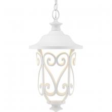 Progress Lighting, a Hubbell affiliate P550037-030-30 - P550037-030-30 1-9W LED HANGING LANTERN