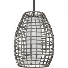 Progress Lighting, a Hubbell affiliate P550083-031 - P550083-031 1-100W MED OUTDOOR PENDANT