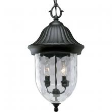 Progress Lighting, a Hubbell affiliate P5529-31 - P5529-31 2-60W CAND CH HUNG