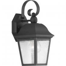 Progress Lighting, a Hubbell affiliate P560010-031 - P560010-031 1-100W MED WALL LANTERN