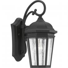 Progress Lighting, a Hubbell affiliate P560014-031 - P560014-031 1-100W MED WALL LANTERN