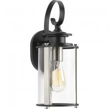 Progress Lighting, a Hubbell affiliate P560036-031 - P560036-031 1-100W MED WALL LANTERN