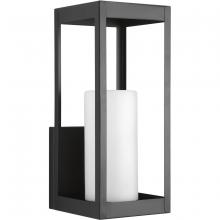 Progress Lighting, a Hubbell affiliate P560041-031 - P560041-031 1-100W MED WALL LANTERN