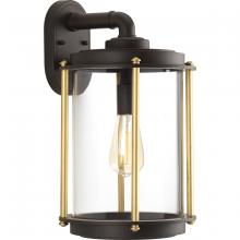 Progress Lighting, a Hubbell affiliate P560061-129 - P560061-129 1-100W MED WALL LANTERN