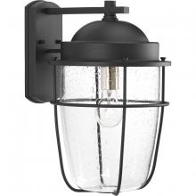 Progress Lighting, a Hubbell affiliate P560067-031 - P560067-031 1-100W MED WALL LANTERN