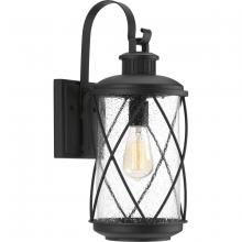 Progress Lighting, a Hubbell affiliate P560081-031 - P560081-031 1-100W MED WALL LANTERN