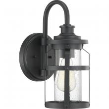 Progress Lighting, a Hubbell affiliate P560094-031 - P560094-031 1-100W MED WALL LANTERN