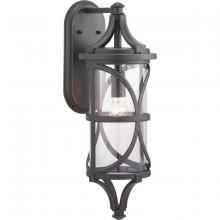 Progress Lighting, a Hubbell affiliate P560118-020 - P560118-020 1-100W LARGE WALL LANTERN