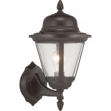 Progress Lighting, a Hubbell affiliate P560134-020 - P560134-020 2-100W MED WALL LANTERN