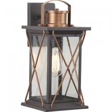 Progress Lighting, a Hubbell affiliate P560157-020 - P560157-020 1-100W MED WALL LANTERN