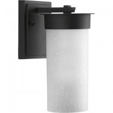 Progress Lighting, a Hubbell affiliate P5624-31 - P5624-31 1-100W MED WALL LANTERN