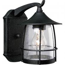 Progress Lighting, a Hubbell affiliate P5763-71 - P5763-71 1-100W MED WALL LANTERN