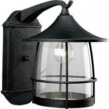 Progress Lighting, a Hubbell affiliate P5764-71 - P5764-71 1-100W MED WALL LANTERN