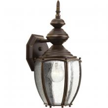 Progress Lighting, a Hubbell affiliate P5765-20 - P5765-20 1-100W-MED WALL LANTERN