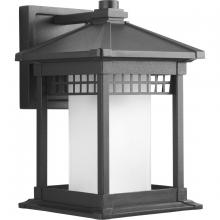 Progress Lighting, a Hubbell affiliate P6001-31 - P6001-31 1-100W MED WALL LANTERN