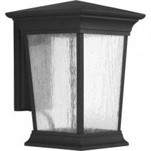 Progress Lighting, a Hubbell affiliate P6069-3130K9 - P6069-3130K9 1-17W  LED WALL LANTERN