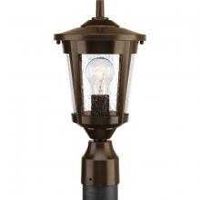 Progress Lighting, a Hubbell affiliate P6425-20 - P6425-20 1-100W MED POST LANTERN