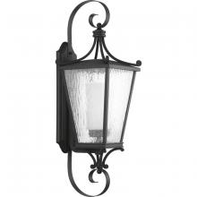 Progress Lighting, a Hubbell affiliate P6628-31MD - P6628-31MD 1-100W MED WALL LANTERN