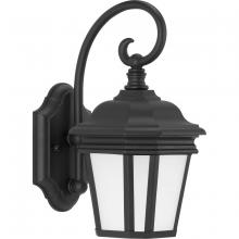 Progress Lighting, a Hubbell affiliate P6630-31MD - P6630-31MD 1-100W MED WALL LANTERN