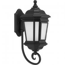 Progress Lighting, a Hubbell affiliate P6631-31MD - P6631-31MD 1-100W MED WALL LANTERN