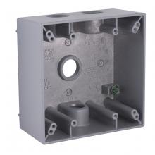 Raco-Taymac-Bell, a Hubbell affiliate 5335-0 - 2G WP BOX (4) 1/2 IN. OUTLETS - GRAY