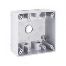 Raco-Taymac-Bell, a Hubbell affiliate 5337-1 - 2G WP BOX (5) 1/2 IN. OUTLETS - WHITE
