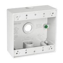 Raco-Taymac-Bell, a Hubbell affiliate DB350WH - 2G WP BOX (3) 1/2 IN. OUTLETS - WHITE