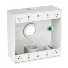 Raco-Taymac-Bell, a Hubbell affiliate DB375WH - 2G WP BOX (3) 3/4 IN. OUTLETS - WHITE