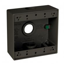 Raco-Taymac-Bell, a Hubbell affiliate DB375Z - 2G WP BOX (3) 3/4 IN. OUTLETS - BRONZE