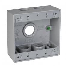 Raco-Taymac-Bell, a Hubbell affiliate DB575S - 2G WP BOX (5) 3/4 IN. OUTLETS - GRAY